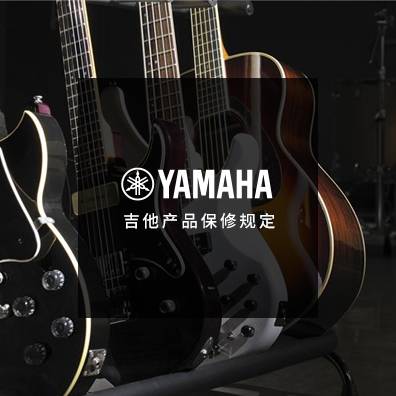 吉他、贝斯和音箱