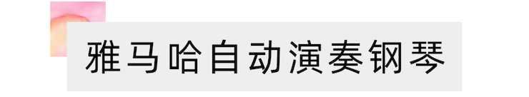 活动报道 | “科技助力，跨越时空”，小鹿纯子携手刘明康共享中日音乐盛宴