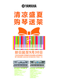 清凉盛夏，购琴送架 